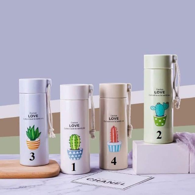 Bình Giữ Nhiệt Xương Rồng Love 300ml (Thùng 80)