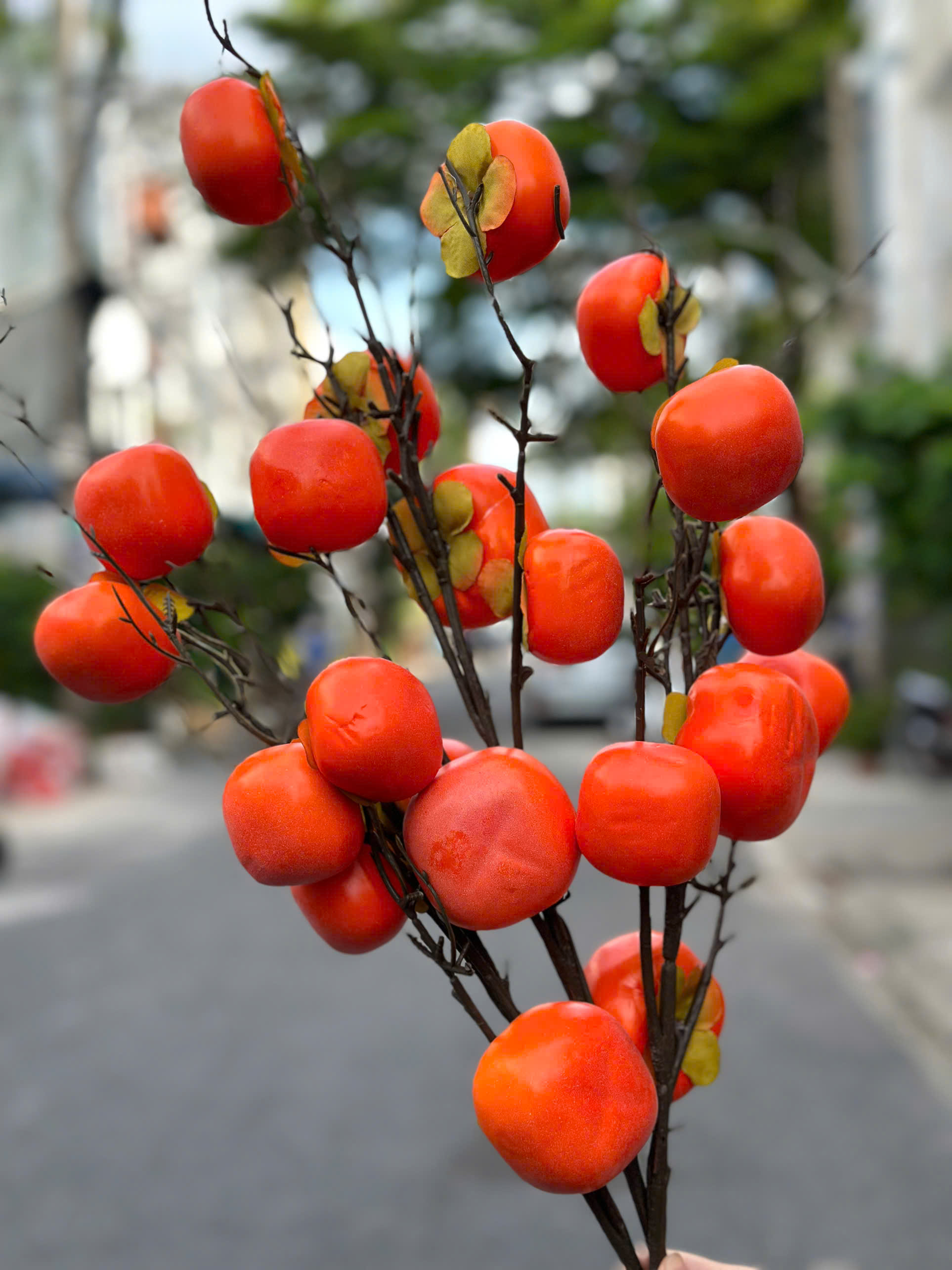 Cành 7 Quả Hồng Trang Trí Tết(Thùng 200 Cành)