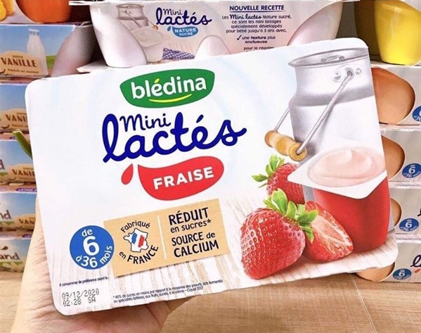 Sữa chua Bledina Mini Lactes 6m+ vị dâu