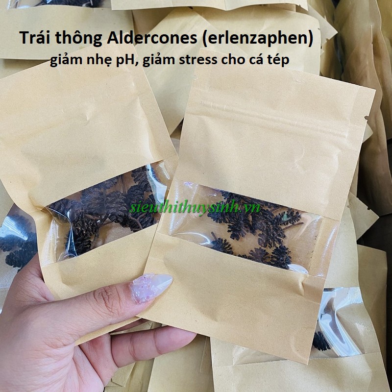 Trái Alder Cones (Erlenzaphen) hạ pH, giảm stress và kháng viêm cho cá tép (gói 10 trái)