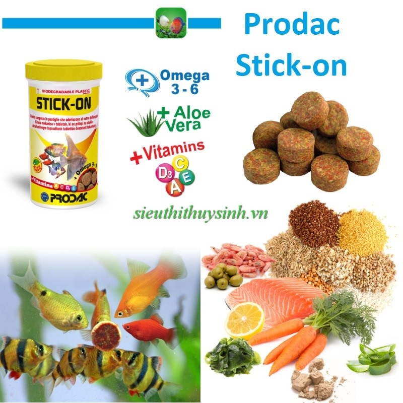 Prodac Stick-on (thức ăn viên dán kính)