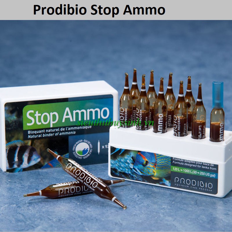Khử độc nước Prodibio Stop Ammo (1 ống thủy tinh)