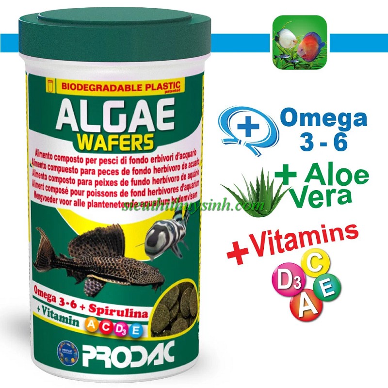 Prodac Algae Wafers- Thức ăn Pleco, Chuột giàu tảo - Hộp 100ml (50g)