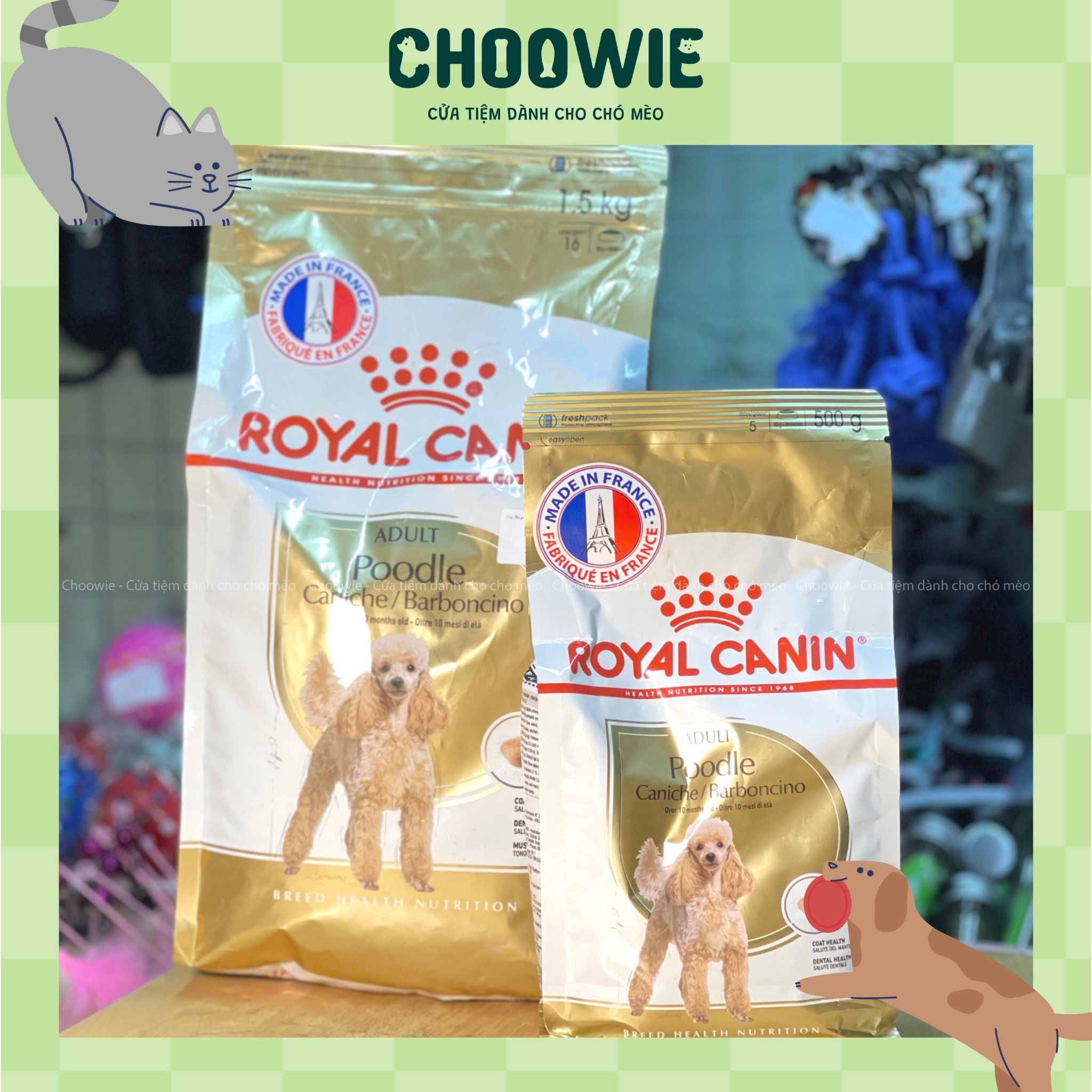 Hạt Royal Canin Poodle Adult (>1 tuổi) - 500 gr