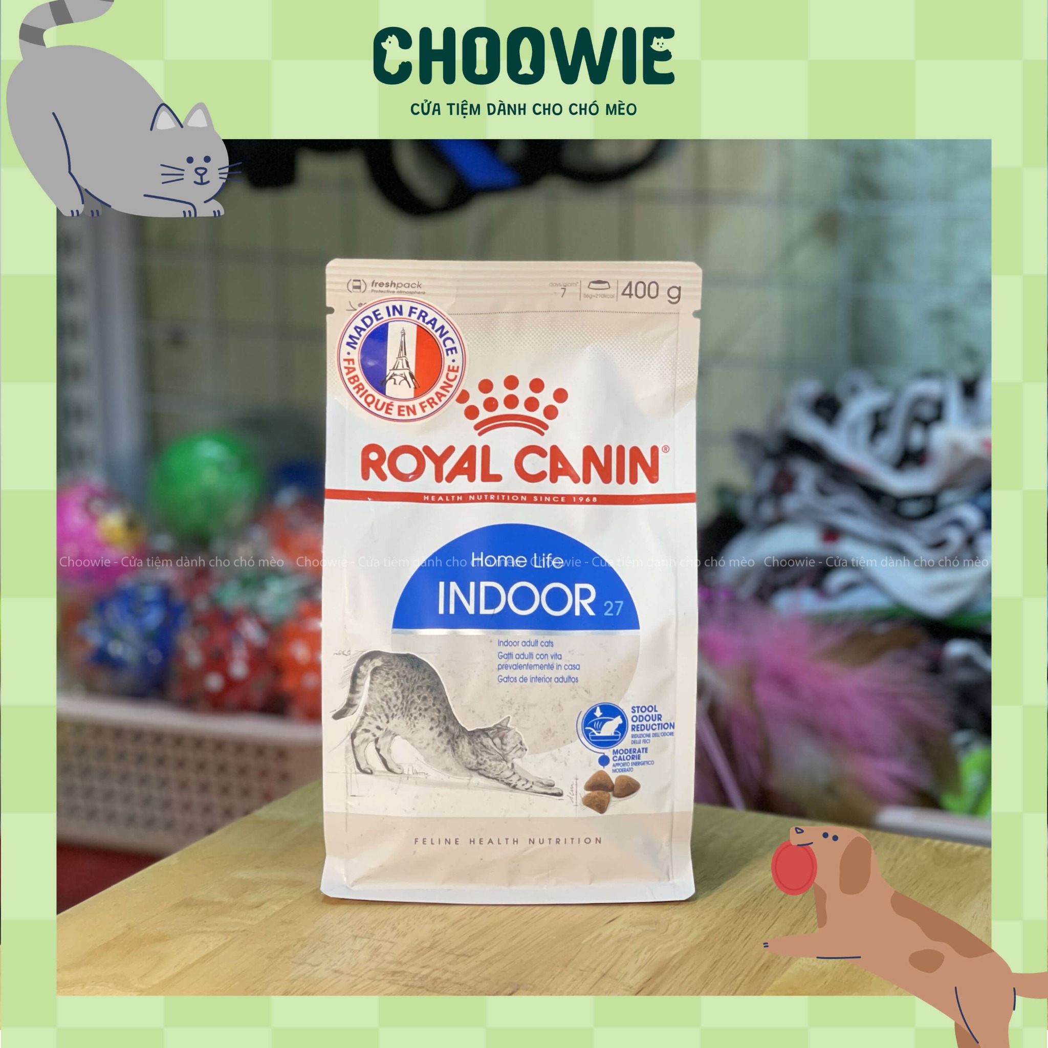 Hạt cho mèo Royal Canin Indoor