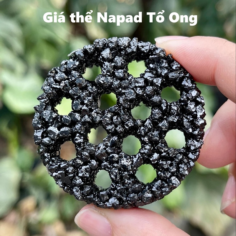 Giá thể Napad Tổ Ong