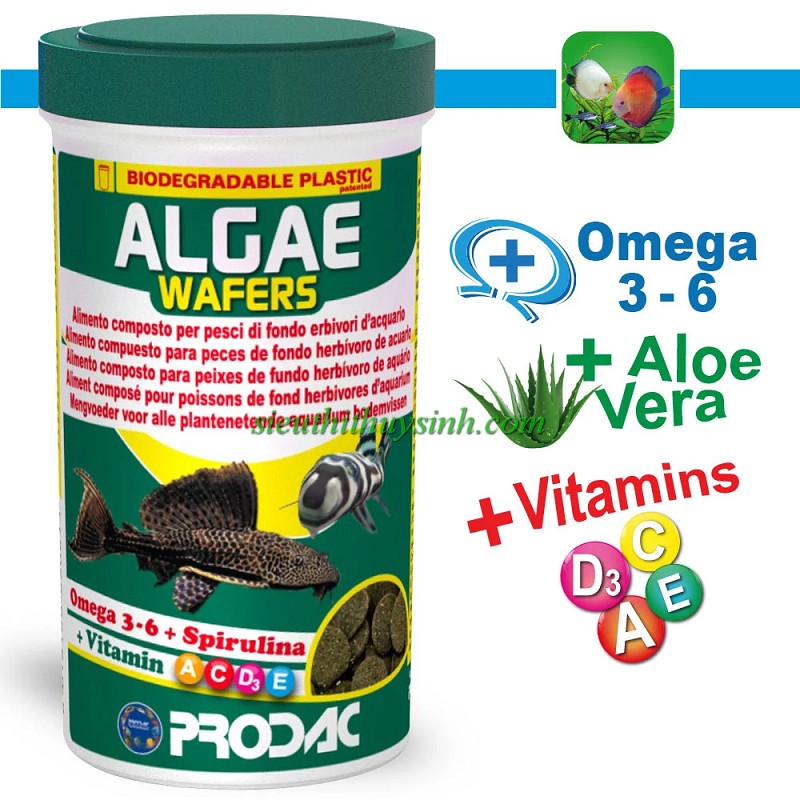Prodac Algae Wafers-Thức ăn cá tầng đáy 100ml (50g)