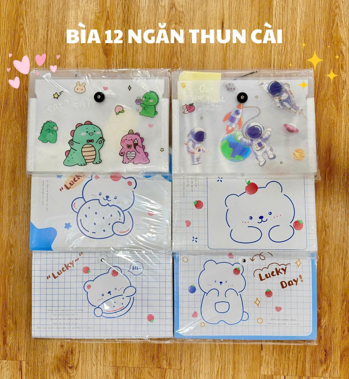 Bìa hồ sơ A4 12 ngăn in hình