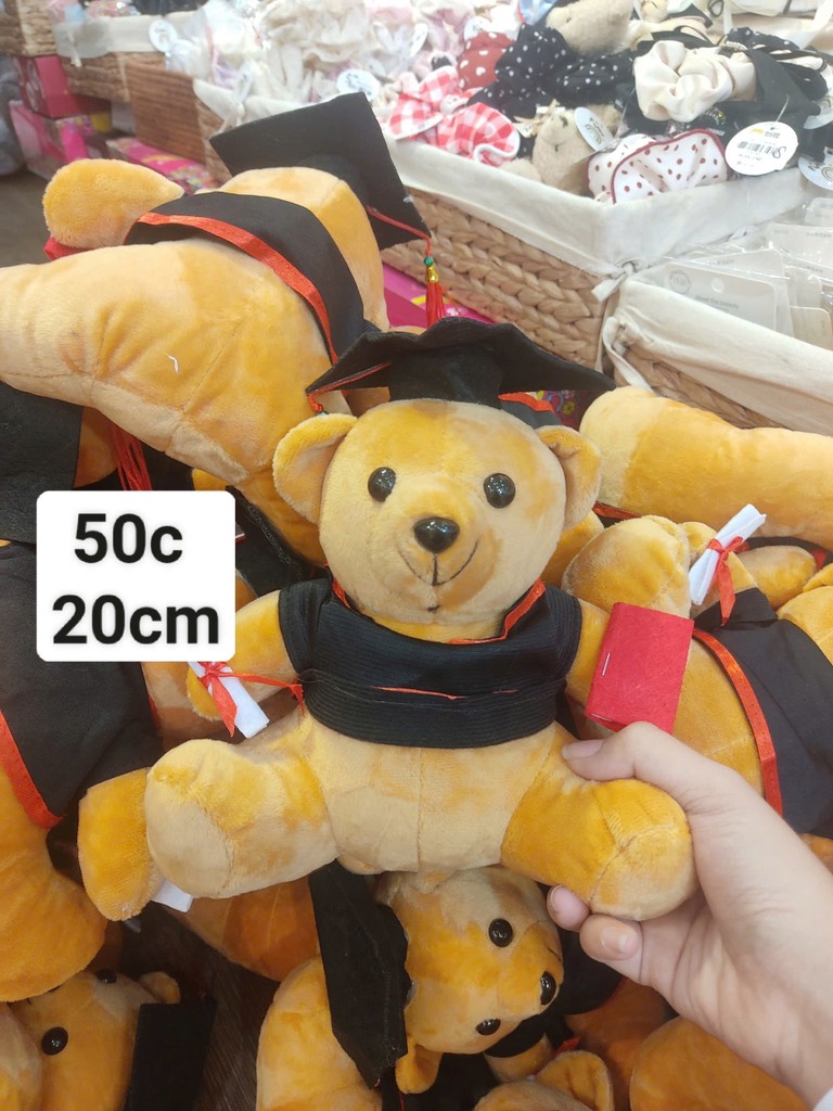 GẤU TỐT NGHIỆP 20CM