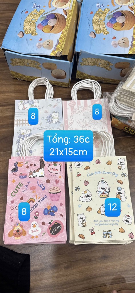 TÚI QUÀ GIẤY MỎNG SIZE VỪA