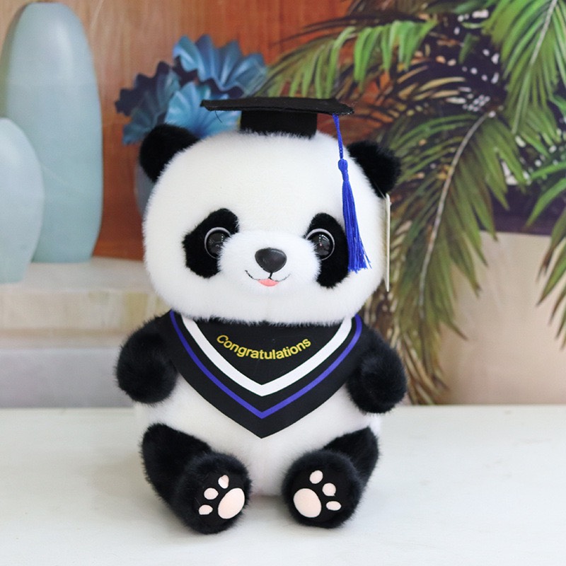 GẤU TRÚC TỐT NGHIỆP