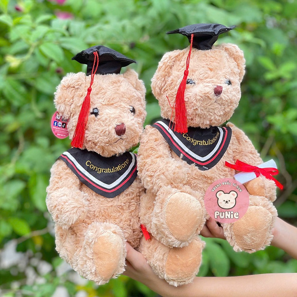 GẤU TỐT NGHIỆP LÔNG XÙ