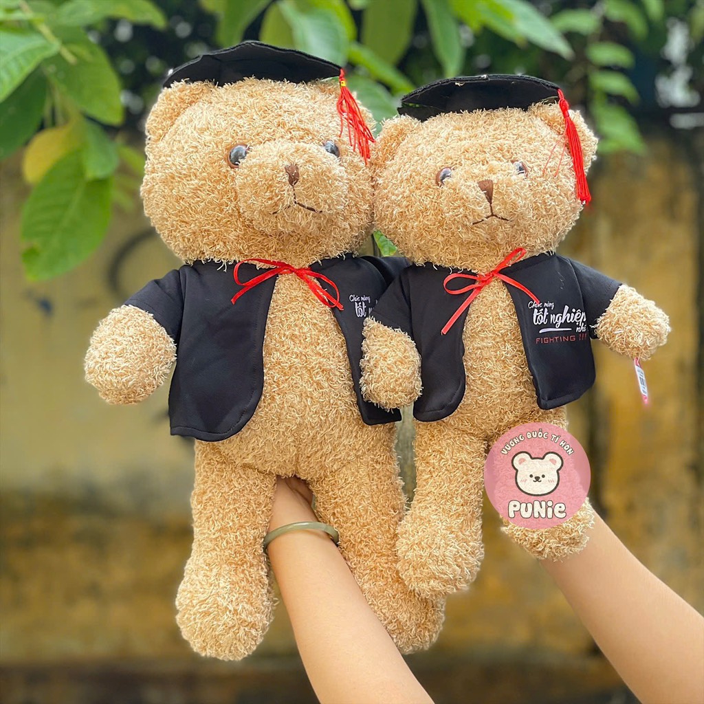 GẤU TỐT NGHIỆP ÁO NGẮN 50CM